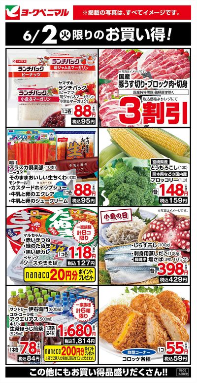 6/2限りのお買い得!