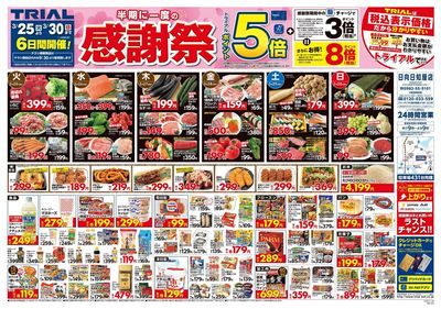 日向日知屋店_表