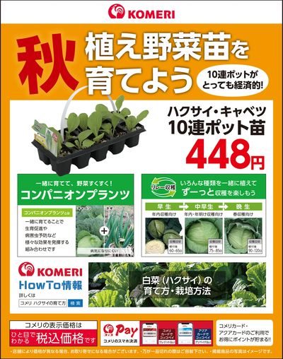 秋植え野菜苗を育てよう