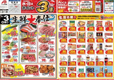 6月3日開始チラシ:表