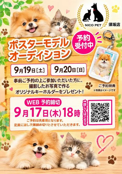 ニコペット須坂店からのご案内!