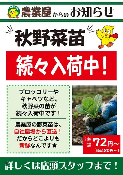 農業屋_野菜苗入荷案内