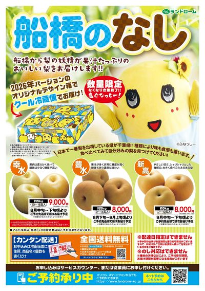 産直ギフト_船橋のなし