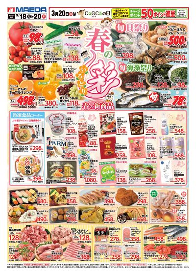 春の彩 おもて