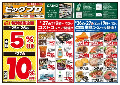 ビッグプロ