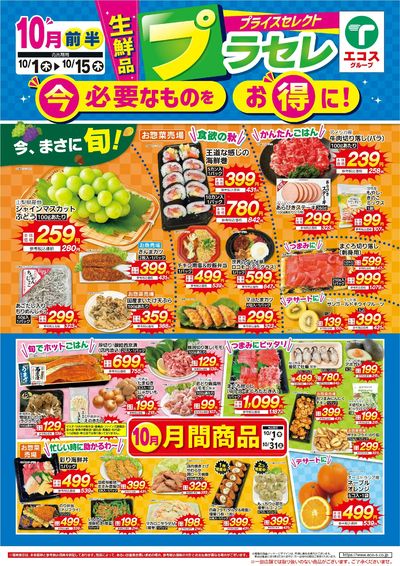 10月前半 プラセレ