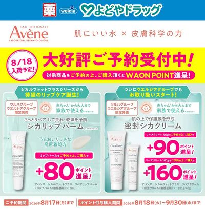 アベンヌ シカルファットプラス ご予約受付中!