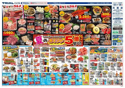 トライアル天理店_表