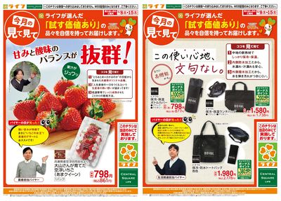 今月の見て見て