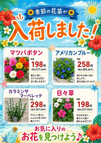 ムサシ須坂店おススメ情報!
