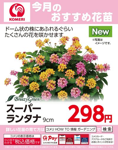 LINEチラシ│LINEでお得なチラシ情報を簡単にチェック