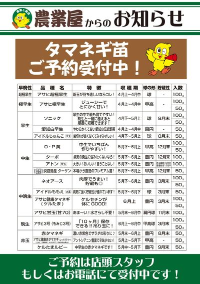 農業屋_タマネギ注文受付中