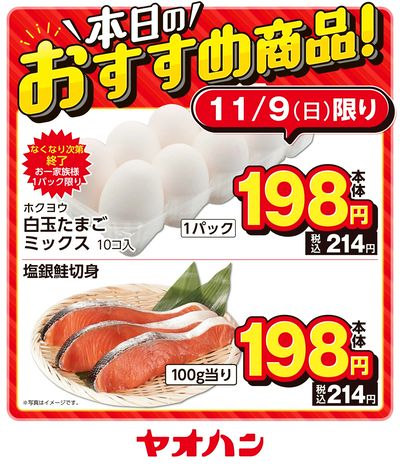 本日のおすすめ商品!