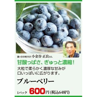 ブルーベリー1パック