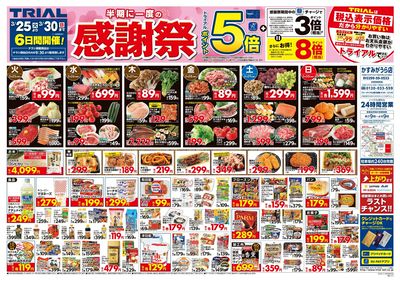 トライアルかすみがうら市店_表