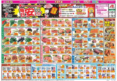 6月10日開始チラシ:表