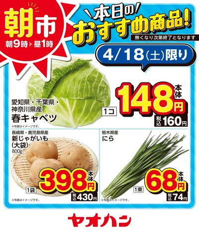 本日のおすすめ商品!