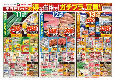 11/11号 オモテ