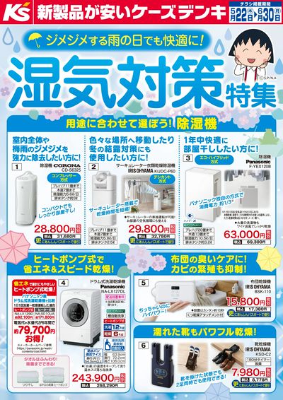 雨の日でも快適に!湿気対策特集