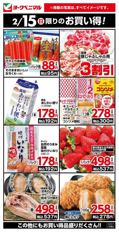 2/15限りのお買い得!