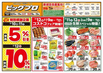 ビッグプロ