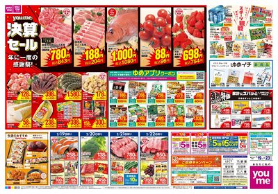 2/19号 週末チラシ