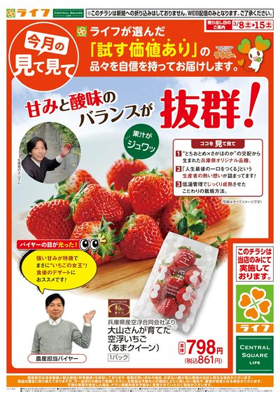 今月の見て見て