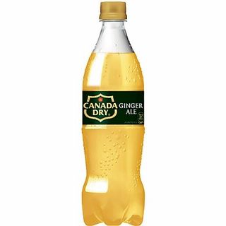 コカ・コーラ カナダドライ ジンジャーエール 700ml