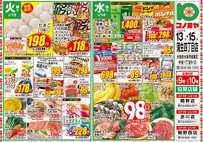 0113号_別版チラシ_表