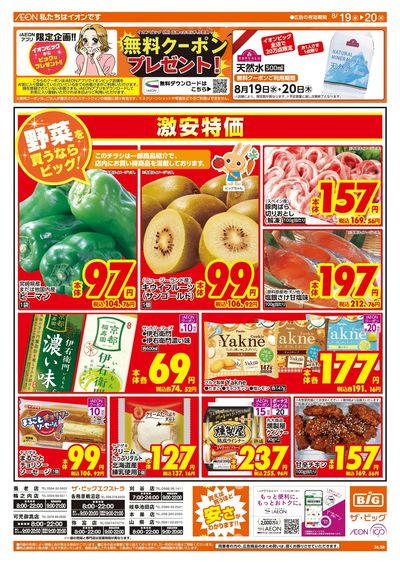 8/19週中チラシ(オモテ)