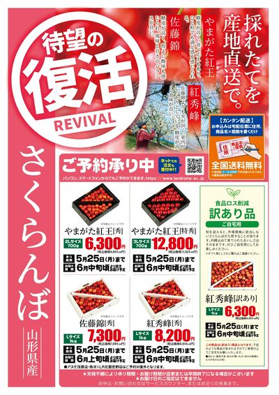5月さくらんぼ