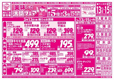 3/13美味しさ満開フェア(表面)
