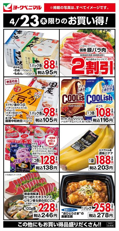 4/23限りのお買い得!