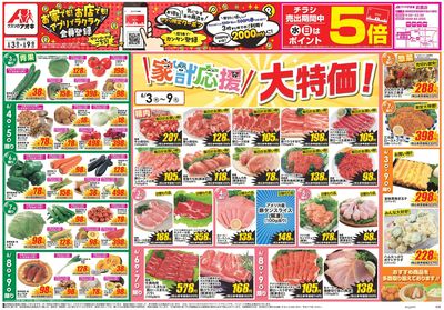 6月3日開始チラシ:表