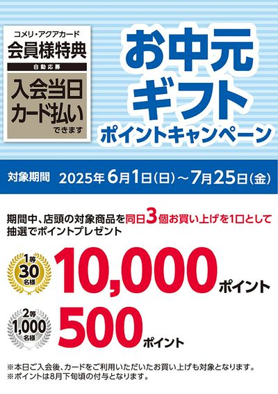 お中元ギフトポイントキャンペーン