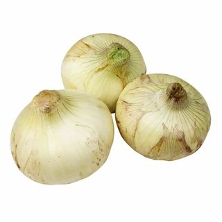 九州産 新玉ねぎ 1ネット