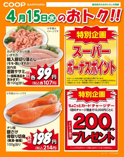 4月15日お買得品