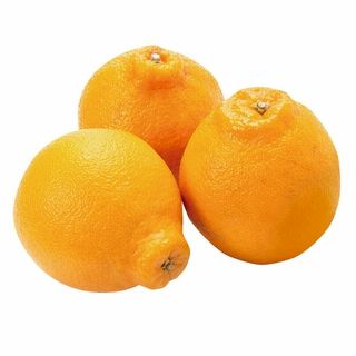 熊本産又は愛媛産 しらぬい柑 1パック・3玉入