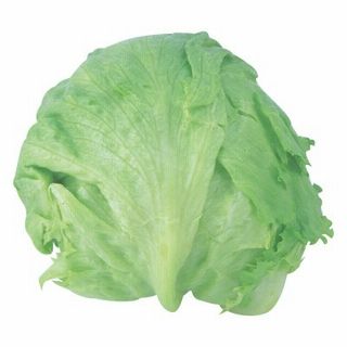 レタス