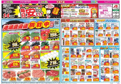 6月10日開始チラシ:表