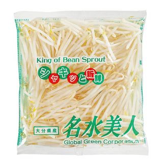 名水美人 緑豆太もやし