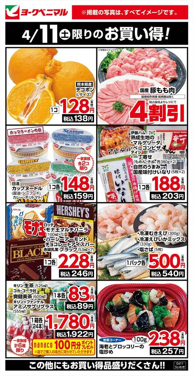 4/11限りのお買い得!
