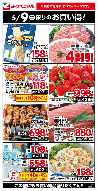 5/9限りのお買い得!