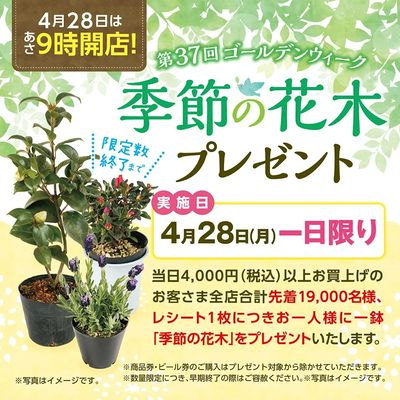 毎年大好評!4月28日(月)は「季節の花木プレゼント」を実施いたします。