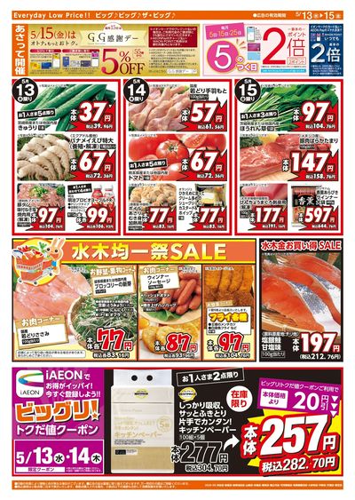 5/13週中チラシ(ウラ)