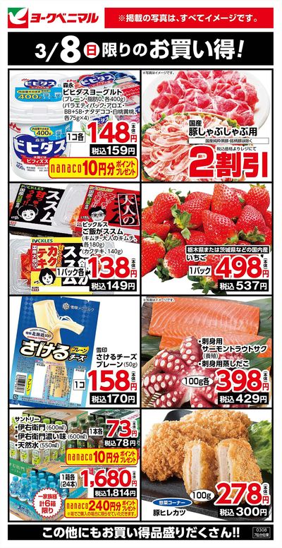 3/8限りのお買い得!