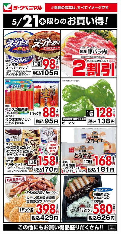 5/21限りのお買い得!