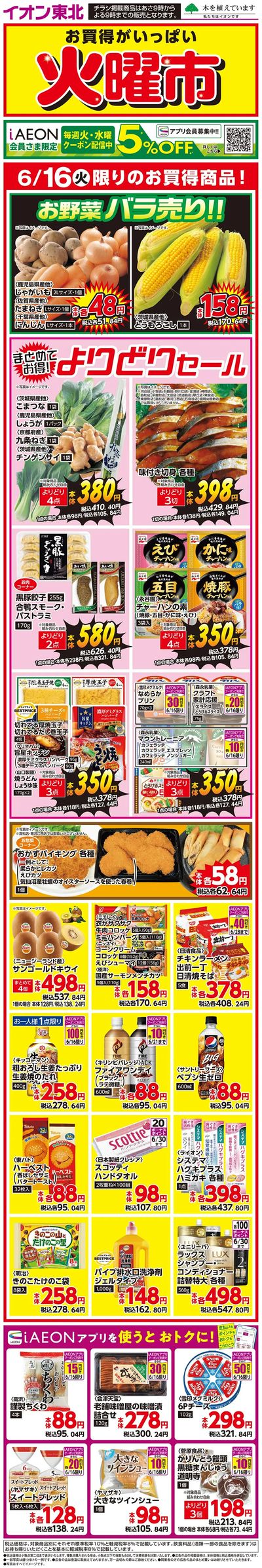 日替わり特集