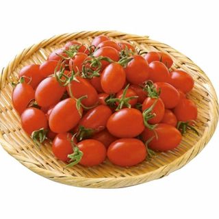 <熊本県産>アイコミニトマト