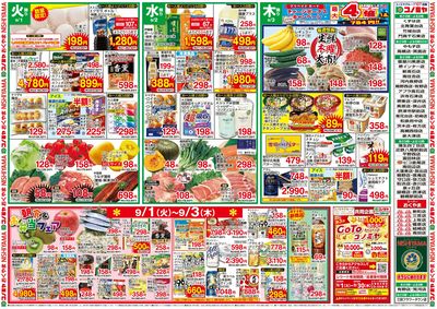 0901号_レギュラーチラシ_表